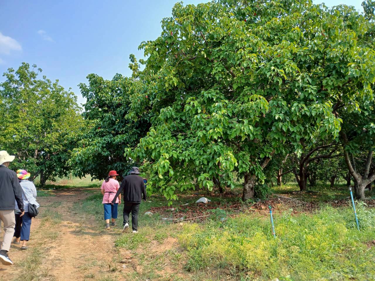 title - ศรม. ลงพื้นที่ตรวจประเมินเพื่อติดตามในเขตปฏิรูปที่ดินจังหวัดนครสวรรค์